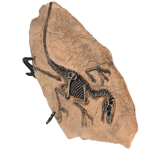 OFFSCH 1 Satz Dinosaurier fossile Ornamente Dinosaurierspielzeug für Jungen Dinosaurier-Geburtstagsdekoration Desktop-Dinosaurier-Fossil-Dekoration Modelle zur Dekoration OFFSCH 1 Satz Dinosaurier fossile Ornamente Dinosaurierspielzeug für Jungen Dinosaurier-Geburtstagsdekoration Desktop-Dinosaurier-Fossil-Dekoration Modelle zur Dekoration von OFFSCH