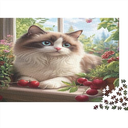 Ragdoll Katze Puzzlespiel 1000 Teile Erwachsene -Puzzle 1000 Stück Spiel Puzzles Für Erwachsene Kinder Puzzle Erwachsenen Puzzlespiel Puzzel 1000pcs (75x50cm) von OFLAMIRUX