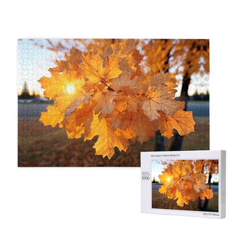 Golden Maple Leaves 1000 Puzzles für Erwachsene – herausfordernde Puzzles – perfekt für Spieleabende – abgeschlossenes Puzzle 29,5 x 19,7 cm von OIBNKCN