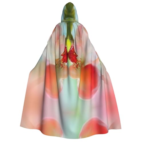 OIBNKCN Symmetrische und sanfte Muster Halloween Kapuzenmantel für Erwachsene Männer Frauen Weihnachten Hoodies Umhang Rollenspiel Kostüme OIBNKCN Symmetrische und sanfte Muster Halloween Kapuzenmantel für Erwachsene Männer Frauen Weihnachten Hoodies Umhang Rollenspiel Kostüme von OIBNKCN