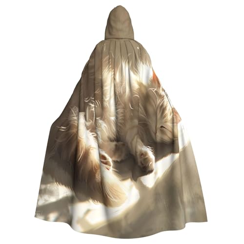 OIBNKCN Umhang mit Kapuze für Damen und Herren, langlebiger und stilvoller schwarzer Umhang mit Kapuze für Halloween, Cosplay und mehr. von OIBNKCN