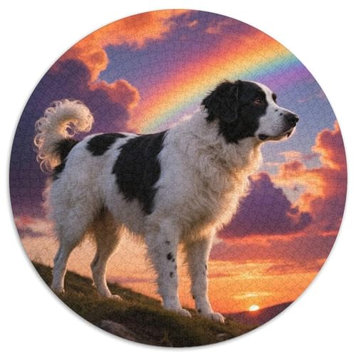 Alter Schäferhund 1000 Teile Puzzles Haustier Hund Rund Puzzle Geeignet Ab 12 Jahren Pädagogisches Für Erwachsene Kinder Buntes Tier Geschenke 1000pcs (67.5x67.5cm) von OJASDBDJE