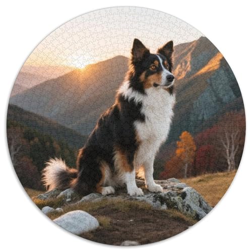 Australischer Schäfer 1000 Teile Puzzle Haustier Hund Circular Puzzle Geeignet Ab 12 Jahren Pädagogisches Für Erwachsene Kinder Buntes Tier Geschenke 1000pcs (67.5x67.5cm) von OJASDBDJE