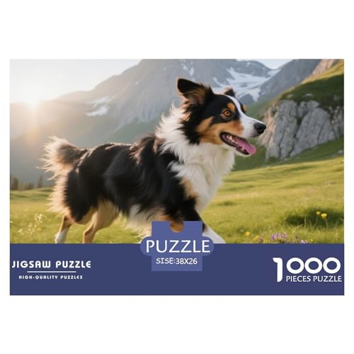 Australischer Schäfer 1000 Teile Puzzle Haustier Hund Für Die Ganze Familie Entspannend Premium-Qualität Spielzeug Lernspiel 38x26cm/1000pcs von OJASDBDJE