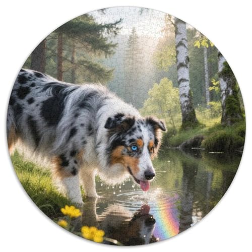 Australischer Schäfer 1000 Teile Puzzle Haustier Hund Runde Kreispuzzles Für Erwachsene Und Kinder Pädagogisches Für Erwachsene Kinder Buntes Tier Geschenke 1000pcs (67.5x67.5cm) von OJASDBDJE