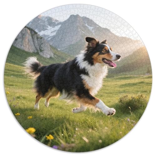 Australischer Schäfer 1000 Teile Puzzles Haustier Hund Runde Kreispuzzles Für Erwachsene Und Kinder Pädagogisches Für Erwachsene Kinder Buntes Tier Geschenke 1000pcs (67.5x67.5cm) von OJASDBDJE