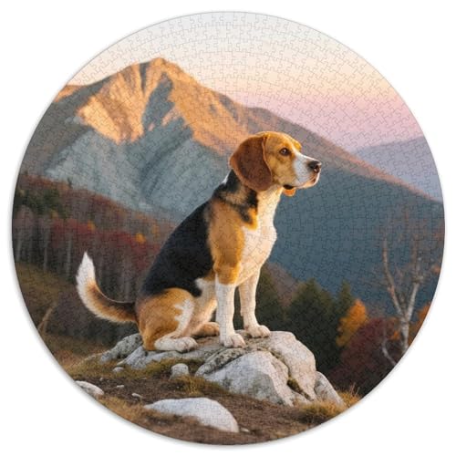 Beagle 1000 Teile Puzzle Haustier Hund Rundes Puzzle Für Erwachsene Und Kinder Pädagogisches Für Erwachsene Kinder Buntes Tier Geschenke 1000pcs (67.5x67.5cm) von OJASDBDJE