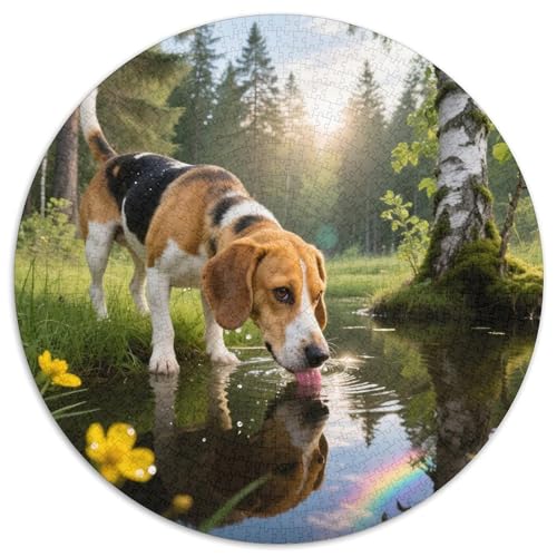 Beagle 1000 Teile Puzzles Haustier Hund Circular Puzzle Geeignet Ab 12 Jahren Pädagogisches Für Erwachsene Kinder Buntes Tier Stressabbau-Spielzeug 1000pcs (67.5x67.5cm) von OJASDBDJE