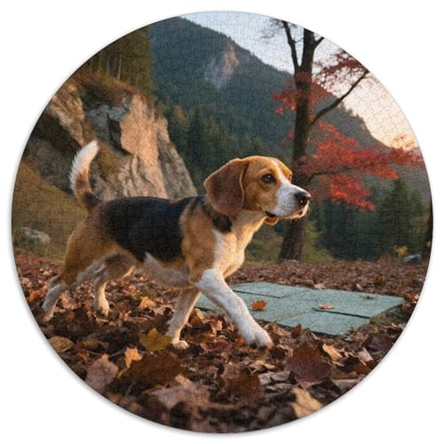 Beagle Mit 1000 Teilen Puzzle Haustier Hund Runde Kreispuzzles Geeignet Ab 12 Jahren Pädagogisches Für Erwachsene Kinder Buntes Tier Geschenke 1000pcs (67.5x67.5cm) von OJASDBDJE