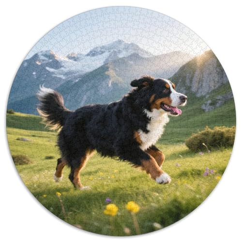 Bernediner Bergdogge 1000 Teile Puzzles Haustier Hund Circular Puzzle Geeignet Ab 12 Jahren Pädagogisches Für Erwachsene Kinder Buntes Tier Stressabbau-Spielzeug 1000pcs (67.5x67.5cm) von OJASDBDJE