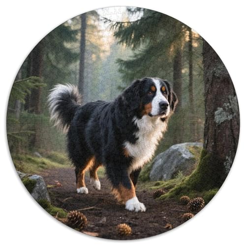 Bernediner Bergdogge 1000 Teile Puzzles Haustier Hund Runde Kreispuzzles Für Erwachsene Und Kinder Pädagogisches Für Erwachsene Kinder Buntes Tier Geschenke 1000pcs (67.5x67.5cm) von OJASDBDJE