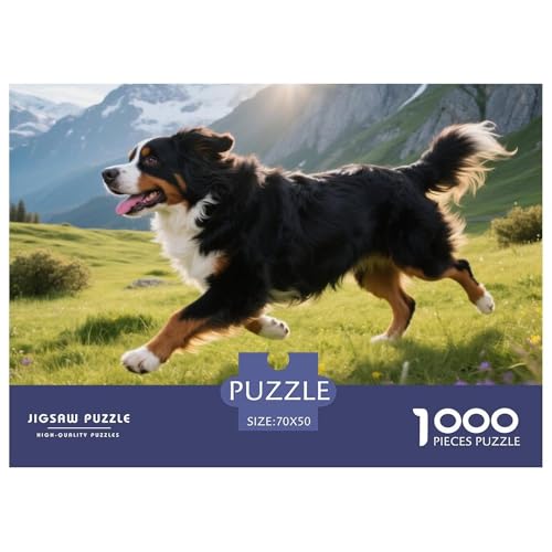 Bernese Mountain Dog 1000 Teile Puzzle Haustier Hund Geschenke Für Frauen/Männer Entspannend Premium-Qualität Spaß Pädagogisches Spiel 70x50cm/1000pcs von OJASDBDJE