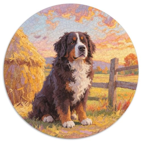 Bernischer Gebirgsspitz 1000 Teile Puzzle Tierhund Rund Puzzle Für Erwachsene Und Kinder Pädagogisches Für Erwachsene Kinder Buntes Tier Geschenke 1000pcs (67.5x67.5cm) von OJASDBDJE
