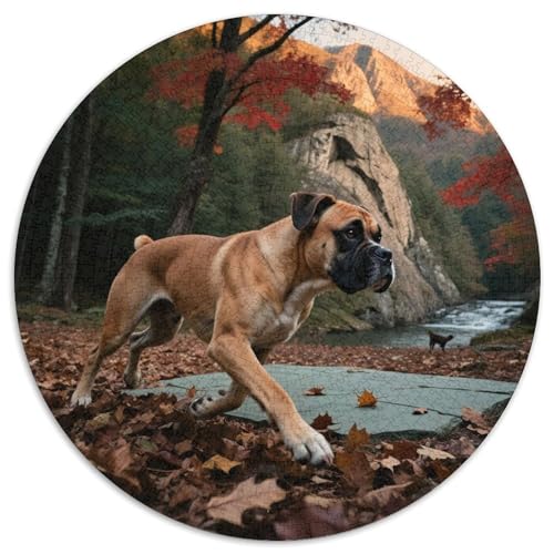 Boxer 1000 Teile Puzzle Haustier Hund Circular Puzzles Geeignet Ab 12 Jahren Pädagogisches Für Erwachsene Kinder Buntes Tier Geschenke 1000pcs (67.5x67.5cm) von OJASDBDJE