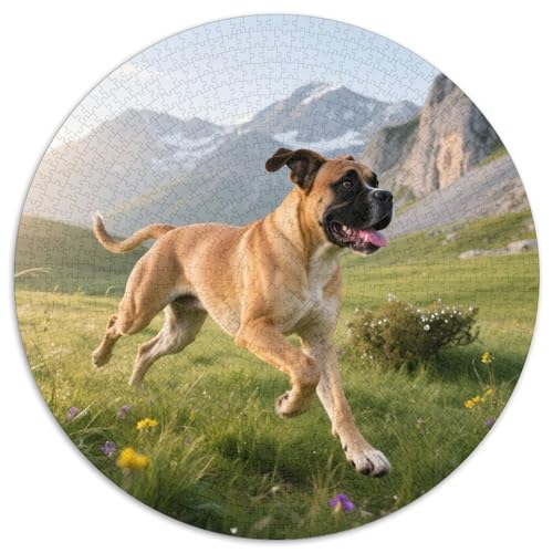 Boxer 1000 Teile Puzzle Haustier Hund Rund Puzzle Für Erwachsene Und Kinder Pädagogisches Für Erwachsene Kinder Buntes Tier Stressabbau-Spielzeug 1000pcs (67.5x67.5cm) von OJASDBDJE
