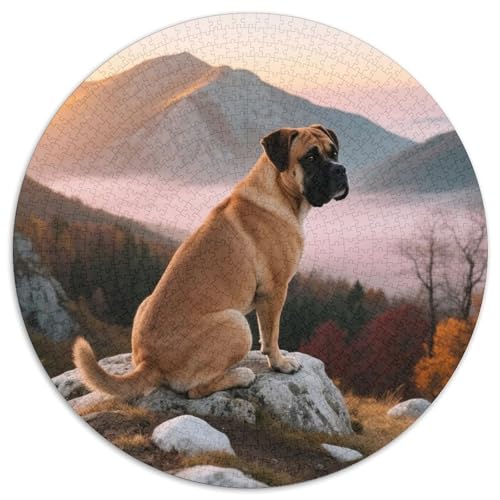 Boxer 1000 Teile Puzzle Haustier Hund Rundes Puzzle Für Erwachsene Und Kinder Pädagogisches Für Erwachsene Kinder Buntes Tier Geschenke 1000pcs (67.5x67.5cm) von OJASDBDJE