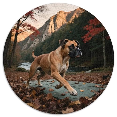 Boxer 1000 Teile Puzzles Haustier Hund Circular Puzzle Für Erwachsene Und Kinder Pädagogisches Für Erwachsene Kinder Buntes Tier Geschenke 1000pcs (67.5x67.5cm) von OJASDBDJE