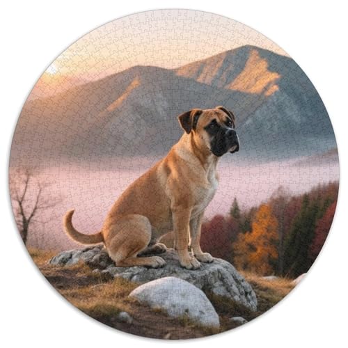 Boxer Mit 1000 Teilen Puzzle Haustier Hund Circular Puzzles Geeignet Ab 12 Jahren Pädagogisches Für Erwachsene Kinder Buntes Tier Geschenke 1000pcs (67.5x67.5cm) von OJASDBDJE