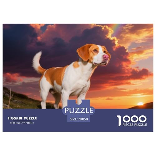 Bretagne Spaniel 1000 Teile Puzzle Haustier Hund Geschenke Für Frauen/Männer Herausforderung Premium-Qualität Spaß Lernspiel 70x50cm/1000pcs von OJASDBDJE