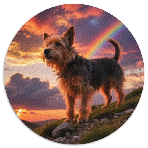 Brüssel Griffon 1000 Teile Puzzle Haustier Hund Rundes Puzzle Geeignet Ab 12 Jahren Pädagogisches Für Erwachsene Kinder Buntes Tier Stressabbau-Spielzeug 1000pcs (67.5x67.5cm) von OJASDBDJE