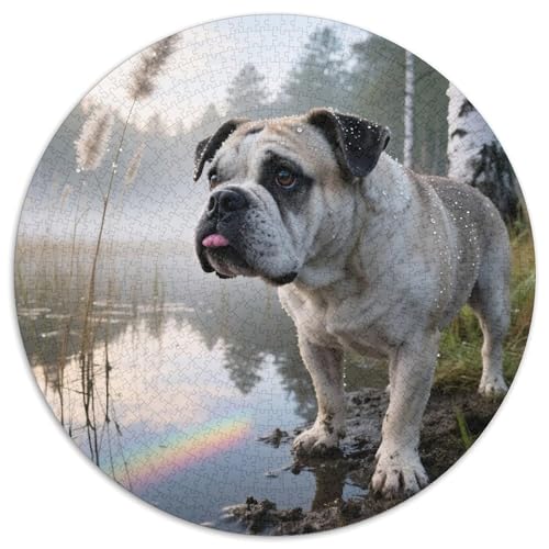 Bulldogs 1000 Teile Puzzle Haustier Hund Circular Puzzle Für Erwachsene Und Kinder Pädagogisches Für Erwachsene Kinder Buntes Tier Stressabbau-Spielzeug 1000pcs (67.5x67.5cm) von OJASDBDJE