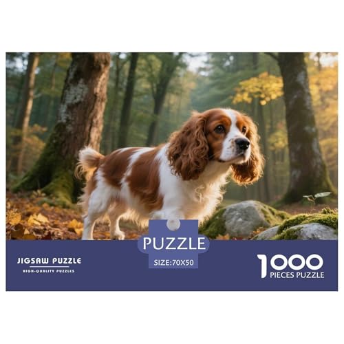 Cavalier King Charles Spaniel 1000 Teile Puzzle Haustier Hund Geschenke Für Frauen/Männer Entspannend Premium-Qualität Spielzeug Lernspiel 70x50cm/1000pcs von OJASDBDJE