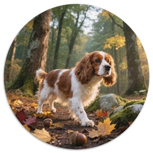 Cavalier King Charles Spaniel Mit 1000 Teilen Puzzle Haustier Hund Rund Puzzle Geeignet Ab 12 Jahren Pädagogisches Für Erwachsene Kinder Buntes Tier Stressabbau-Spielzeug 1000pcs (67.5x67.5cm) von OJASDBDJE