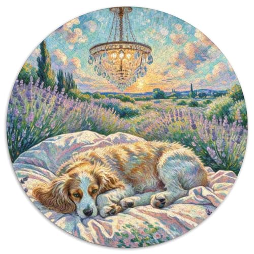 Cavalier Mit 1000 Teilen Puzzle Haustier Hund Rundes Puzzle Für Erwachsene Und Kinder Pädagogisches Für Erwachsene Kinder Buntes Tier Stressabbau-Spielzeug 1000pcs (67.5x67.5cm) von OJASDBDJE