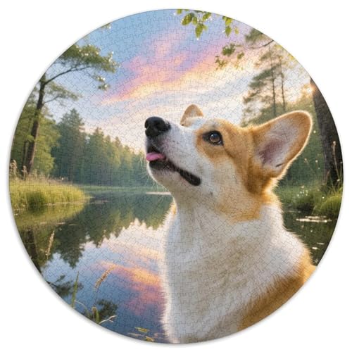 Corgi 1000 Teile Puzzles Haustier Hund Circular Puzzles Für Erwachsene Und Kinder Pädagogisches Für Erwachsene Kinder Buntes Tier Geschenke 1000pcs (67.5x67.5cm) von OJASDBDJE