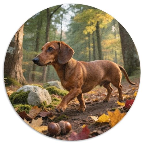 Dachshund 1000 Teile Puzzle Haustier Hund Circular Puzzle Für Erwachsene Und Kinder Pädagogisches Für Erwachsene Kinder Buntes Tier Stressabbau-Spielzeug 1000pcs (67.5x67.5cm) von OJASDBDJE