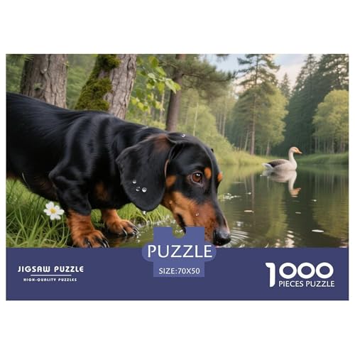 Dachshund 1000 Teile Puzzle Haustier Hund Für Die Ganze Familie Herausforderung Detailreich Spielzeug Lernspiel 70x50cm/1000pcs Dachshund 1000 Teile Puzzle Haustier Hund Für Die Ganze Familie Herausforderung Detailreich Spielzeug Lernspiel 70x50cm/1000pcs von OJASDBDJE