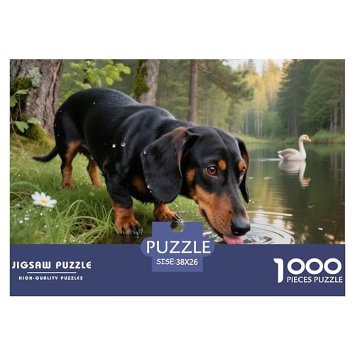 Dachshund 1000 Teile Puzzle Haustier Hund Geschenke Für Frauen/Männer Entspannend Premium-Qualität Spielzeug Lernspiel 38x26cm/1000pcs Dachshund 1000 Teile Puzzle Haustier Hund Geschenke Für Frauen/Männer Entspannend Premium-Qualität Spielzeug Lernspiel 38x26cm/1000pcs von OJASDBDJE