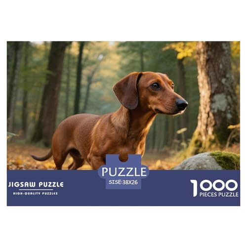 Dachshund 1000 Teile Puzzle Haustier Hund Geschenke Für Frauen/Männer Herausforderung Premium-Qualität Spielzeug Lernspiel 38x26cm/1000pcs von OJASDBDJE