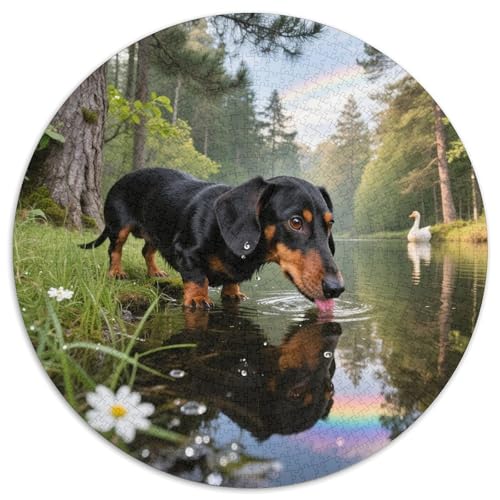 Dachshund 1000 Teile Puzzle Haustier Hund Rundes Puzzle Für Erwachsene Und Kinder Pädagogisches Für Erwachsene Kinder Buntes Tier Stressabbau-Spielzeug 1000pcs (67.5x67.5cm) von OJASDBDJE
