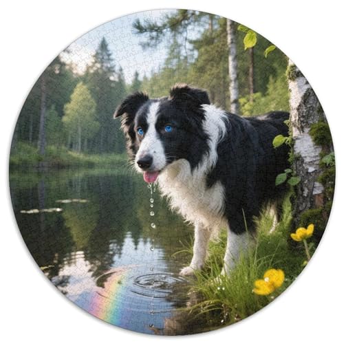 Der Border Collie Mit 1000 Teilen Puzzles Haustier Hund Circular Puzzles Für Erwachsene Und Kinder Pädagogisches Für Erwachsene Kinder Buntes Tier Stressabbau-Spielzeug 1000pcs (67.5x67.5cm) von OJASDBDJE