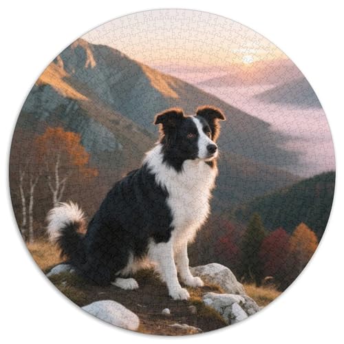 Der Border Collie Mit 1000 Teilen Puzzles Haustier Hund Rund Puzzle Für Erwachsene Und Kinder Pädagogisches Für Erwachsene Kinder Buntes Tier Geschenke 1000pcs (67.5x67.5cm) von OJASDBDJE