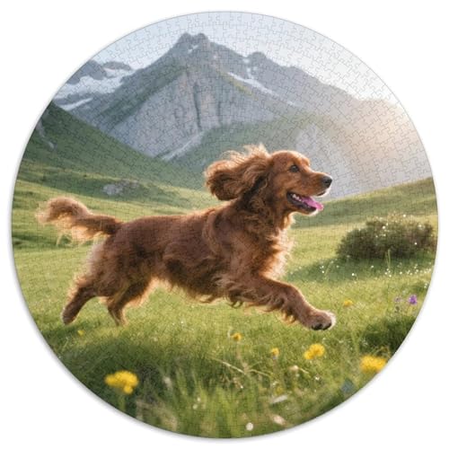 Der Cocker Spaniel 1000 Teile Puzzle Haustier Hund Rund Puzzle Für Erwachsene Und Kinder Pädagogisches Für Erwachsene Kinder Buntes Tier Geschenke 1000pcs (67.5x67.5cm) von OJASDBDJE