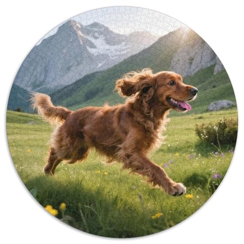 Der Cocker Spaniel 1000 Teile Puzzles Haustier Hund Rundes Puzzle Für Erwachsene Und Kinder Pädagogisches Für Erwachsene Kinder Buntes Tier Geschenke 1000pcs (67.5x67.5cm) von OJASDBDJE