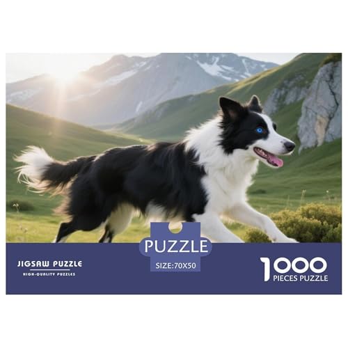 Der Der Border Collie 1000 Teile Puzzle Haustier Hund Für Die Ganze Familie Herausforderung Detailreich Spielzeug Lernspiel 70x50cm/1000pcs von OJASDBDJE