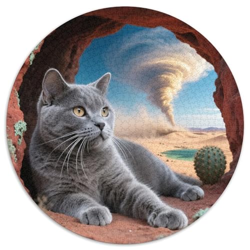 Europäisches Kurzhaar Mit 1000 Teilen Puzzles Pet Katze Circular Puzzle Für Erwachsene Und Kinder Pädagogisches Für Erwachsene Kinder Buntes Tier Stressabbau-Spielzeug 1000pcs (67.5x67.5cm) von OJASDBDJE