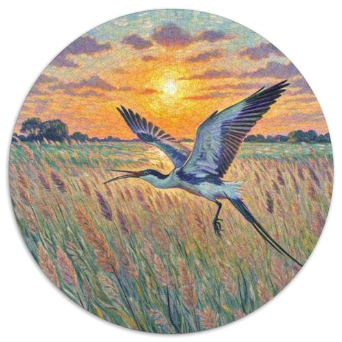 Gemeinsame Snipe Mit 1000 Teilen Puzzles Vogel Rund Puzzle Geeignet Ab 12 Jahren Pädagogisches Für Erwachsene Kinder Buntes Tier Geschenke 1000pcs (67.5x67.5cm) von OJASDBDJE