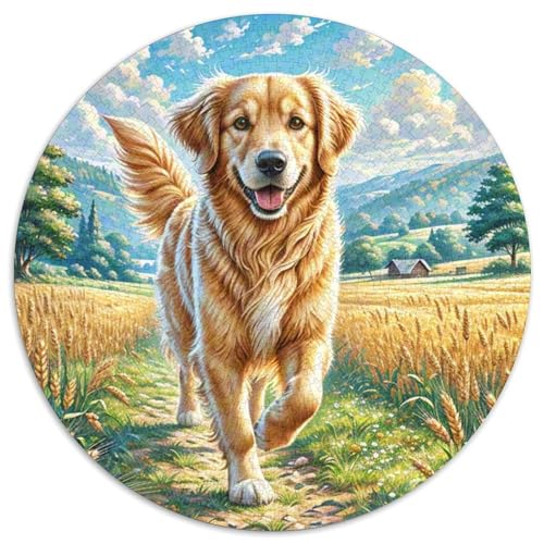 Goldener Retriever 1000 Teile Puzzle Tierhund Circular Puzzle Für Erwachsene Und Kinder Pädagogisches Für Erwachsene Kinder Buntes Tier Stressabbau-Spielzeug 1000pcs (67.5x67.5cm) von OJASDBDJE