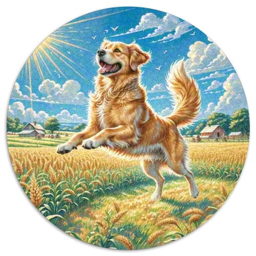 Goldener Retriever 1000 Teile Puzzle Tierhund Rund Puzzle Für Erwachsene Und Kinder Pädagogisches Für Erwachsene Kinder Buntes Tier Stressabbau-Spielzeug 1000pcs (67.5x67.5cm) von OJASDBDJE