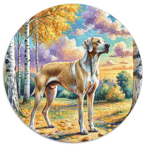 Großen Dänen Mit 1000 Teilen Puzzle Tierhund Runde Kreispuzzles Geeignet Ab 12 Jahren Pädagogisches Für Erwachsene Kinder Buntes Tier Stressabbau-Spielzeug 1000pcs (67.5x67.5cm) von OJASDBDJE