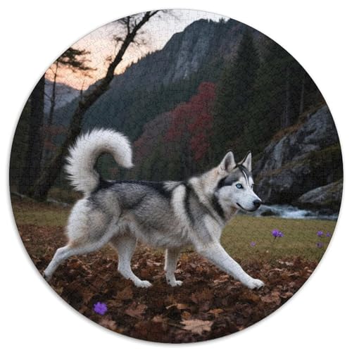 Husky 1000 Teile Puzzles Haustier Hund Rund Puzzle Geeignet Ab 12 Jahren Pädagogisches Für Erwachsene Kinder Buntes Tier Geschenke 1000pcs (67.5x67.5cm) von OJASDBDJE