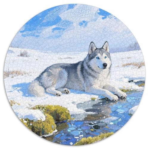Husky Mit 1000 Teilen Puzzle Tierhund Circular Puzzles Für Erwachsene Und Kinder Pädagogisches Für Erwachsene Kinder Buntes Tier Geschenke 1000pcs (67.5x67.5cm) von OJASDBDJE