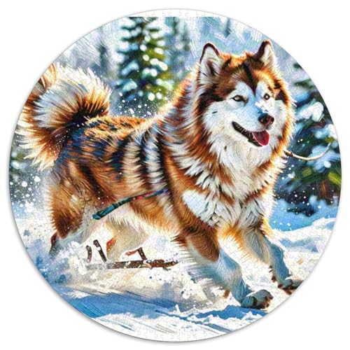 Husky Mit 1000 Teilen Puzzle Tierhund Circular Puzzles Geeignet Ab 12 Jahren Pädagogisches Für Erwachsene Kinder Buntes Tier Geschenke 1000pcs (67.5x67.5cm) von OJASDBDJE