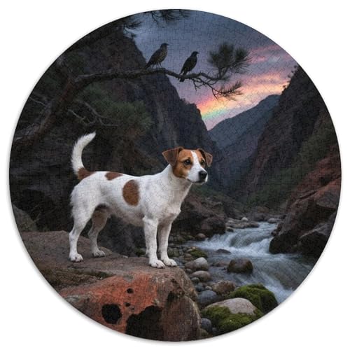 Jack Russell Terrier 1000 Teile Puzzle Haustier Hund Rundes Puzzle Für Erwachsene Und Kinder Pädagogisches Für Erwachsene Kinder Buntes Tier Stressabbau-Spielzeug 1000pcs (67.5x67.5cm) von OJASDBDJE