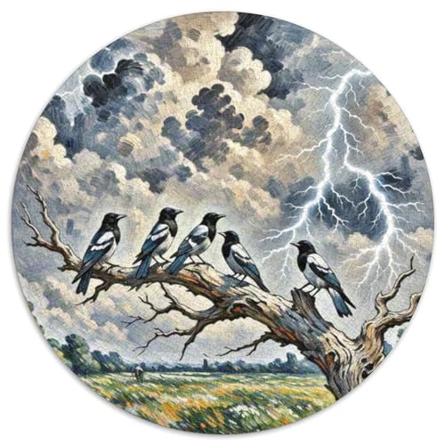 Jackdaw Mit 1000 Teilen Puzzles Vogel Runde Kreispuzzles Geeignet Ab 12 Jahren Pädagogisches Für Erwachsene Kinder Buntes Tier Stressabbau-Spielzeug 1000pcs (67.5x67.5cm) von OJASDBDJE