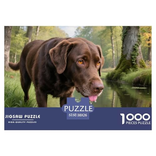 Labrador Retriever 1000 Teile Puzzle Haustier Hund Geschenke Für Frauen/Männer Entspannend Detailreich Spielzeug Lernspiel 38x26cm/1000pcs von OJASDBDJE